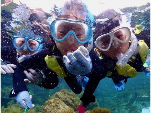 【佐渡・虫崎・シュノーケリングツアー・水中生物観察】手ぶら参加OK!午前・午後開催 【佐渡・虫崎・シュノーケリングツアー・水中生物観察】手ぶら参加OK!午前・午後開催