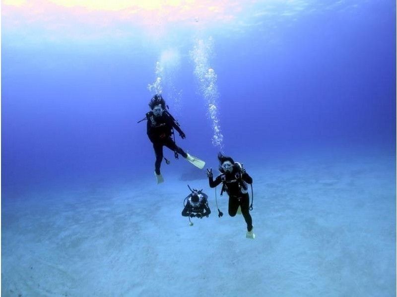 [鹿児島·奄美大島】漂亮的水下照片！經驗深潛（半天課程：2.5小時）の紹介画像