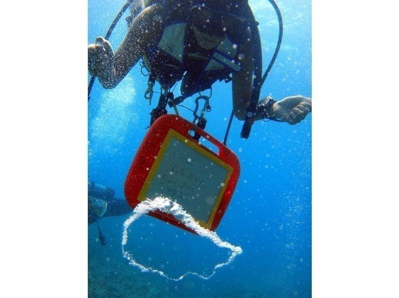 [Kagoshima ・ Amami Oshima】 Enjoy the sea of Amami plenty! Experience Diving(1 day course: 7 hours) with lunch serviceの紹介画像