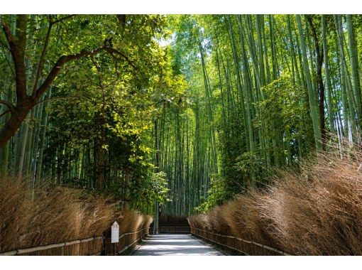 【大阪・京都発】京都を代表する3大必見スポット1日ツアー|伏見稲荷・清水寺・嵐山|自分のペースでゆったり自由散策|英語・中国語ガイド 【大阪・京都発】京都を代表する3大必見スポット1日ツアー|伏見稲荷・清水寺・嵐山|自分のペースでゆったり自由散策|英語・中国語ガイド