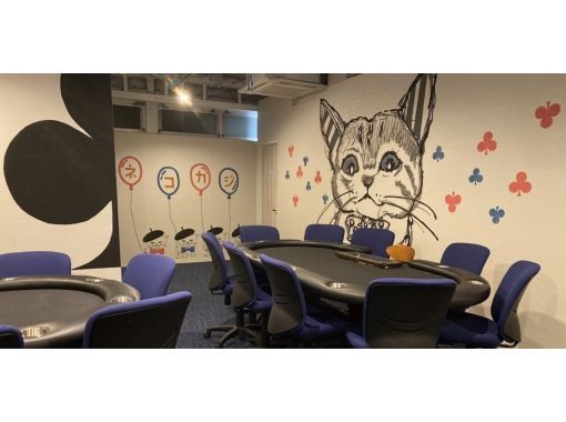 【東京・秋葉原】猫耳メイドと遊ぶ初心者ポーカー体験|レッスン+ドリンクバー付き 【東京・秋葉原】猫耳メイドと遊ぶ初心者ポーカー体験|レッスン+ドリンクバー付き