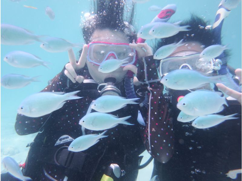 【鹿児島・奄美大島】ライセンス不要 ！「海」を始める人たちのための体験ダイビングの紹介画像
