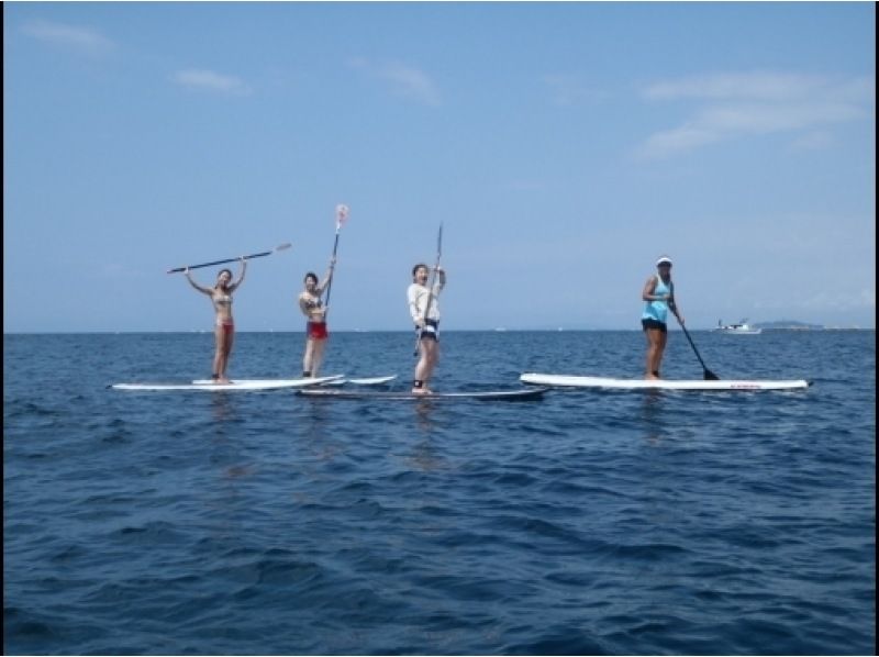 [Kanagawa/Hayama] SUP beginner class [After a thorough lesson on the beach, let's go for a walk on the sea!]の紹介画像