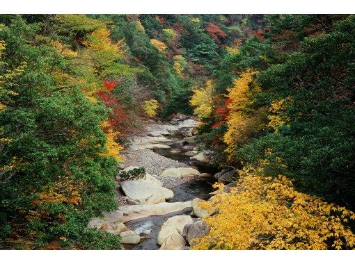 【大分・佐伯市】1組限定❗【日帰り】「紅葉と新緑」藤河内渓谷景勝地巡りトレッキング(焚火昼食/コーヒー/おやつ/♨️付)【装備無料】 【大分・佐伯市】1組限定❗【日帰り】「紅葉と新緑」藤河内渓谷景勝地巡りトレッキング(焚火昼食/コーヒー/おやつ/♨️付)【装備無料】