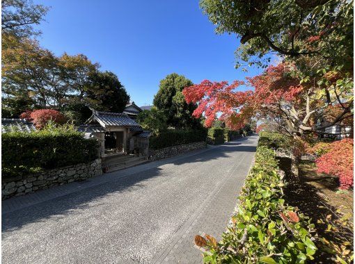 【鹿児島・出水】日本で唯一の黒毛和牛がひく「いずみ観光牛車」で、日本遺産「出水麓武家屋敷群」観光 【鹿児島・出水】日本で唯一の黒毛和牛がひく「いずみ観光牛車」で、日本遺産「出水麓武家屋敷群」観光