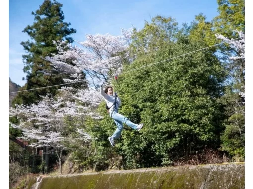 【愛媛・西条】四国最大級のアスレチックパーク!選べる2つの難易度のコースで家族みんなで大冒険!<キャノピーコース> 【愛媛・西条】四国最大級のアスレチックパーク!選べる2つの難易度のコースで家族みんなで大冒険!<キャノピーコース>