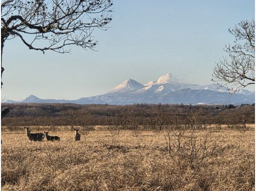 【北海道・鶴居村/釧路近郊】絶景の釧路湿原を駆け抜ける!ガイド付きサイクリング(3~4時間)・タンチョウやエゾシカに会えるグラベルツアー! 【北海道・鶴居村/釧路近郊】絶景の釧路湿原を駆け抜ける!ガイド付きサイクリング(3~4時間)・タンチョウやエゾシカに会えるグラベルツアー!