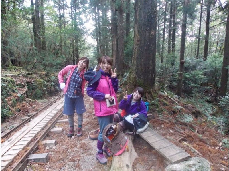 [Kagoshima-kumage district] interaction with nature "Jomon cedar day trekking" Noboru Arakawa Yamaguchi-Jomon cedar ~ Noboru Arakawa Yamaguchiの紹介画像
