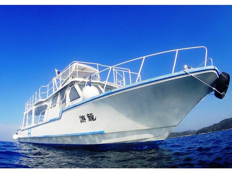 [Kagoshima / Amami Oshima] Exciting! "Winter only" Whale watching (1 day course) 10 years old-OKの紹介画像