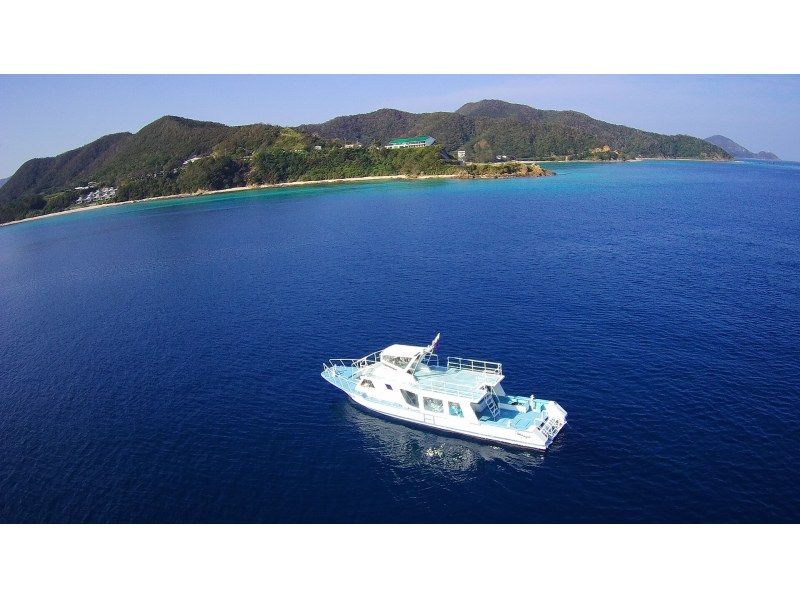 [鹿児島縣/ Am美大島]厲害！ &ldquo;僅限冬季&rdquo;鯨魚觀賞（半天課程）10歲〜參加可以の紹介画像