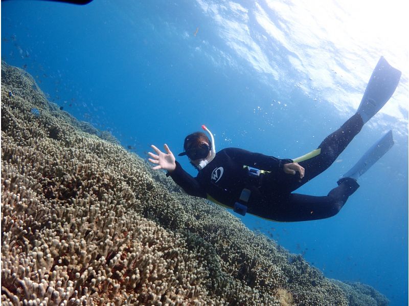 【鹿児島・奄美大島】「ボートシュノーケル」撮影した写真はその場でプレゼント！（シャワー・更衣室・タオル完備）の紹介画像