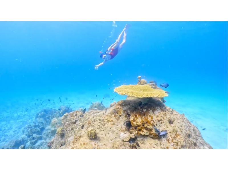 【鹿児島・奄美大島】「ボートシュノーケル」撮影した写真はその場でプレゼント！（シャワー・更衣室・タオル完備）の紹介画像