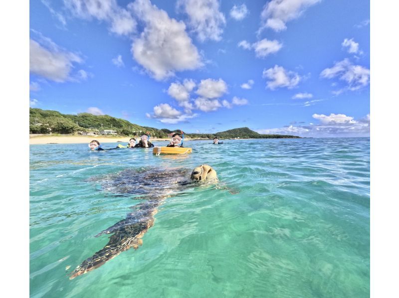 【鹿児島県・奄美大島】「ウミガメと泳ぐビーチシュノーケル」撮影した写真はその場でプレゼント！（シャワー・更衣室・タオル完備）の紹介画像