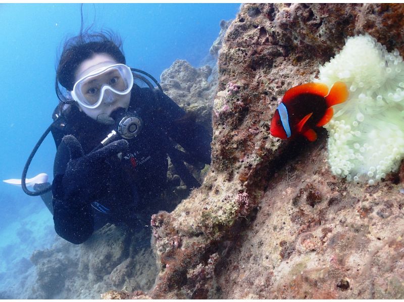 【鹿児島県・奄美大島】ビーチ体験ダイビング【水中写真付】の紹介画像