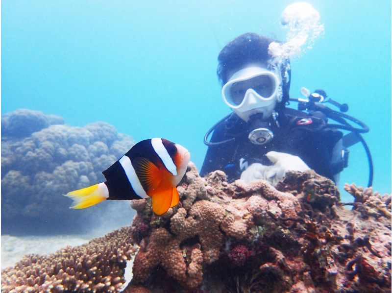 【鹿児島県・奄美大島】ビーチ体験ダイビング【水中写真付】の紹介画像