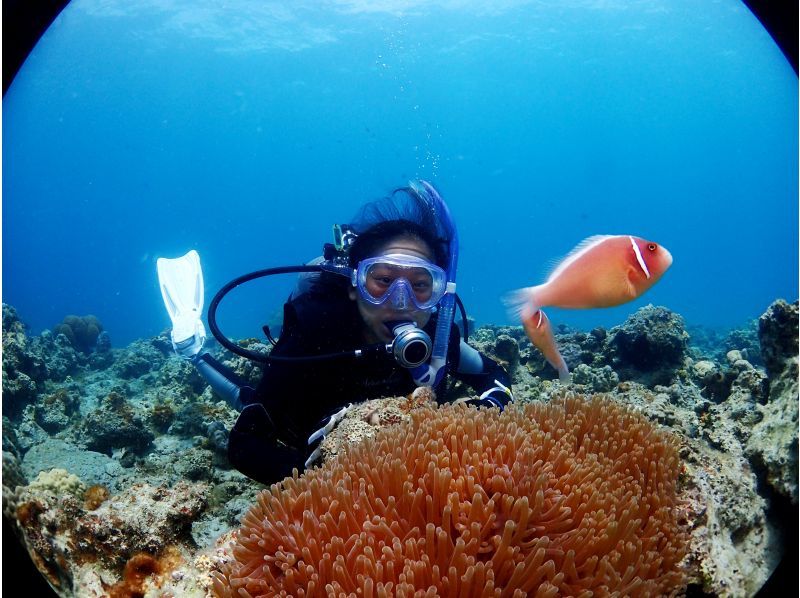 【鹿児島県・奄美大島】ビーチ体験ダイビング【水中写真付】の紹介画像