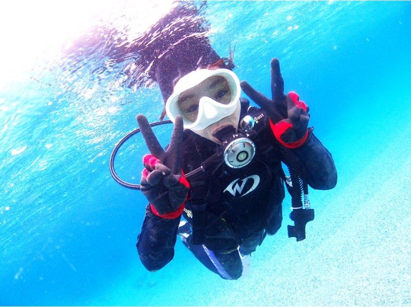 【鹿児島県・奄美大島】ビーチ体験ダイビング【水中写真付】の紹介画像