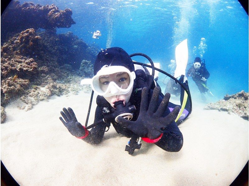 【鹿児島県・奄美大島】ビーチ体験ダイビング【水中写真付】の紹介画像