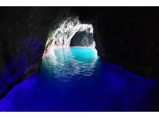 北海道 小樽 春のトドウォッチング 青の洞窟クルーズ 8０分 小さいお子様も楽しめます アクティビティジャパン