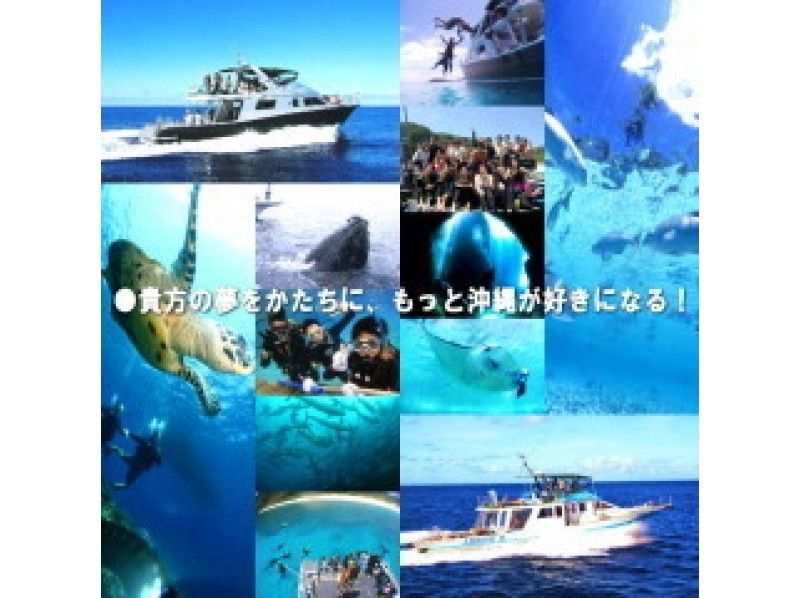 [โอกินาว่า・ หมู่เกาะ Kerama 】คุณสามารถเล่นได้ทั้งวันโดยไม่มีใบอนุญาต! ประสบการณ์หมู่เกาะ Keramaดำน้ำの紹介画像