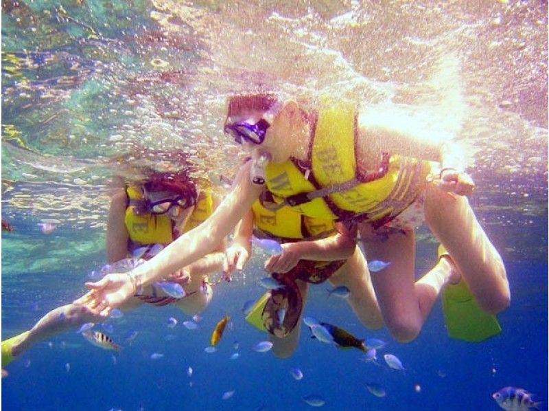 【沖縄・うるま市・浜比嘉島】《Aプラン》無人島シュノーケリング+マリンジェット＋マリンチューブの紹介画像