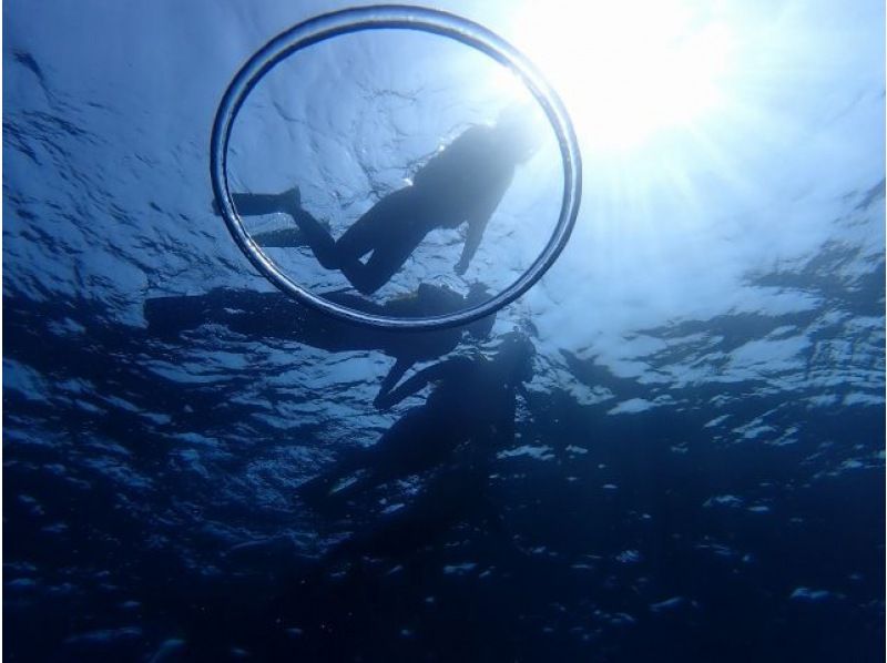 [โอกินาว่า・ เกาะมินจิจิ] การล่องเรือในทะเลการดำน้ำตื้น(Snorkeling)(แผน D)の紹介画像