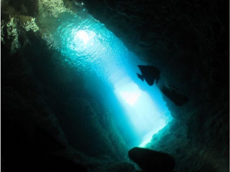 비치 항목 [푸른 동굴 체험다이빙] 쇼핑 집합 귀중품도 안심 ★ 수중동화& 사진 무료 선물 ★の紹介画像