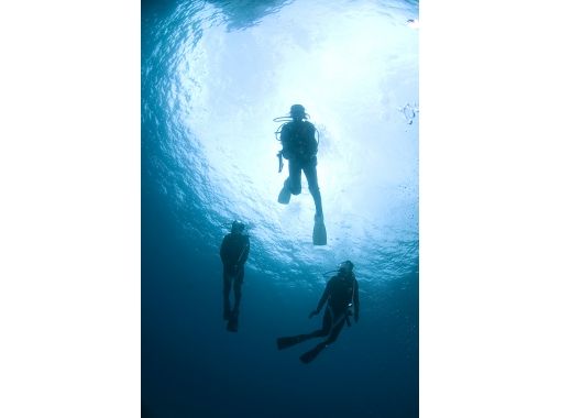 屋久島 体験ダイビング ベーシックな1ダイブ コース 初めての方におススメ 綺麗な海をのんびり散策 ウミガメに会えるかも アクティビティジャパン