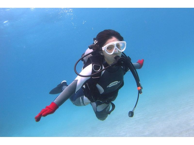 【屋久島 体験ダイビング】じっくり2ダイブコース！初めての方でもOK！もっともっと潜りたい方！の紹介画像