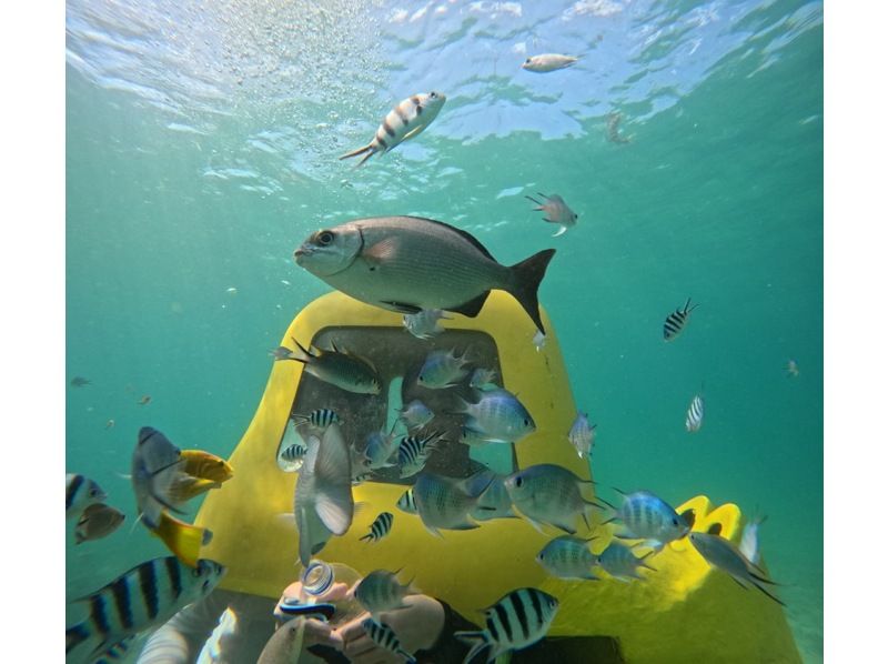 [Nago, Okinawa] Anyone from children to the elderly can easily dive! The latest marine activity "Diving Scooter" is right next to the Kouri Bridge!の紹介画像