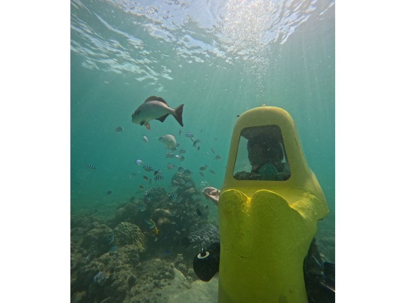 [Nago, Okinawa] Anyone from children to the elderly can easily dive! The latest marine activity "Diving Scooter" is right next to the Kouri Bridge!の紹介画像