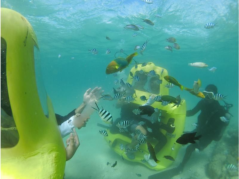 [Nago, Okinawa] Anyone from children to the elderly can easily dive! The latest marine activity "Diving Scooter" is right next to the Kouri Bridge!の紹介画像