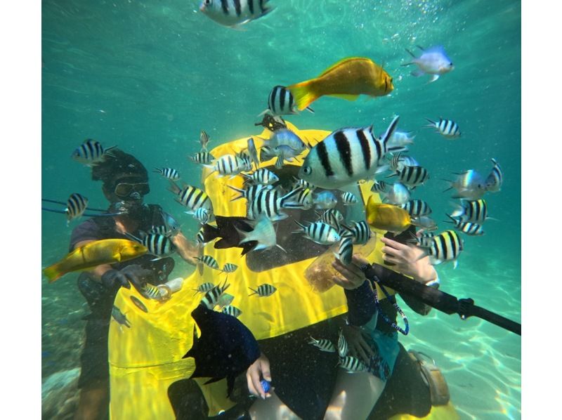 [Nago, Okinawa] Anyone from children to the elderly can easily dive! The latest marine activity "Diving Scooter" is right next to the Kouri Bridge!の紹介画像