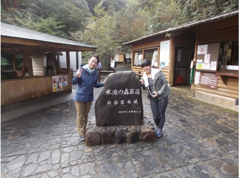 [Kagoshima /Kumage-gun] Enjoy Yakushima! "Jomon cedar day trekking course" Shiratani Unsuikyo - Jomon cedar-Noboru Arakawa Yamaguchiの紹介画像