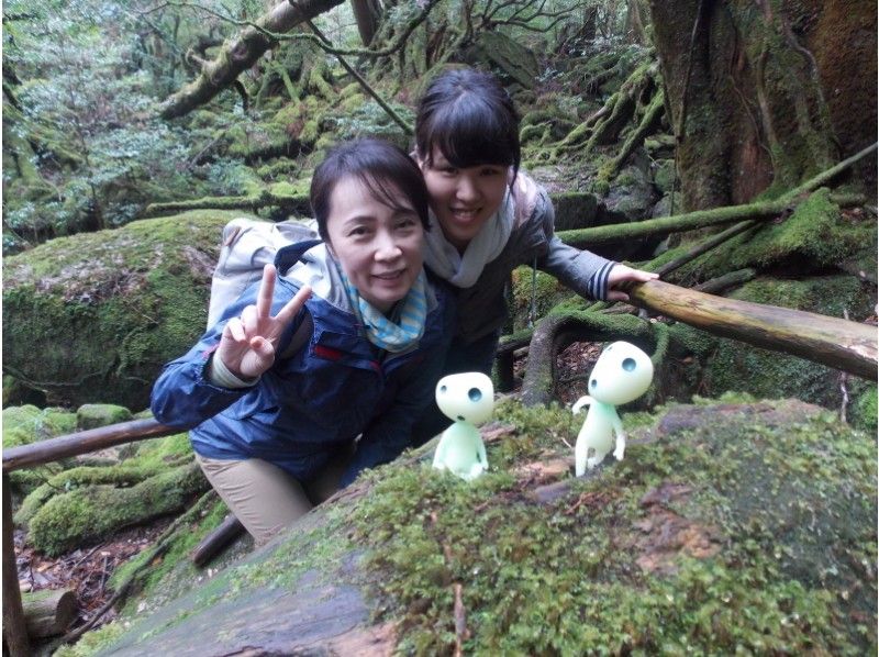 [Kagoshima /Kumage-gun] Enjoy Yakushima! "Jomon cedar day trekking course" Shiratani Unsuikyo - Jomon cedar-Noboru Arakawa Yamaguchiの紹介画像
