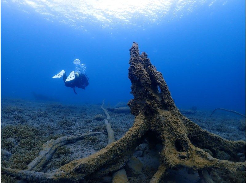 Hokkaido Lake Shikotsu Diving ・ Departs from 1 person. 2DIVE in the morning (2DIVE from the afternoon is also possible) 4 / 29-11 / 6 Held for a limited timeの紹介画像