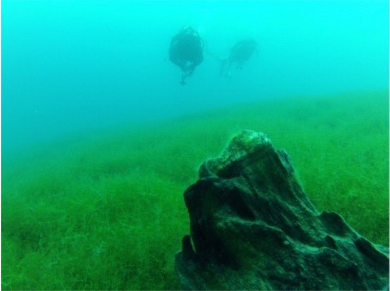 Hokkaido Lake Shikotsu Diving ・ Departs from 1 person. 2DIVE in the morning (2DIVE from the afternoon is also possible) 4 / 29-11 / 6 Held for a limited timeの紹介画像