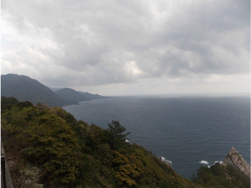 [Kagoshima /Kumage-gun] Great deals! Shiratani Unsuikyo Moss Forest Trekking Course + Island Sightseeing-Pick-up car available (7 hours)の紹介画像