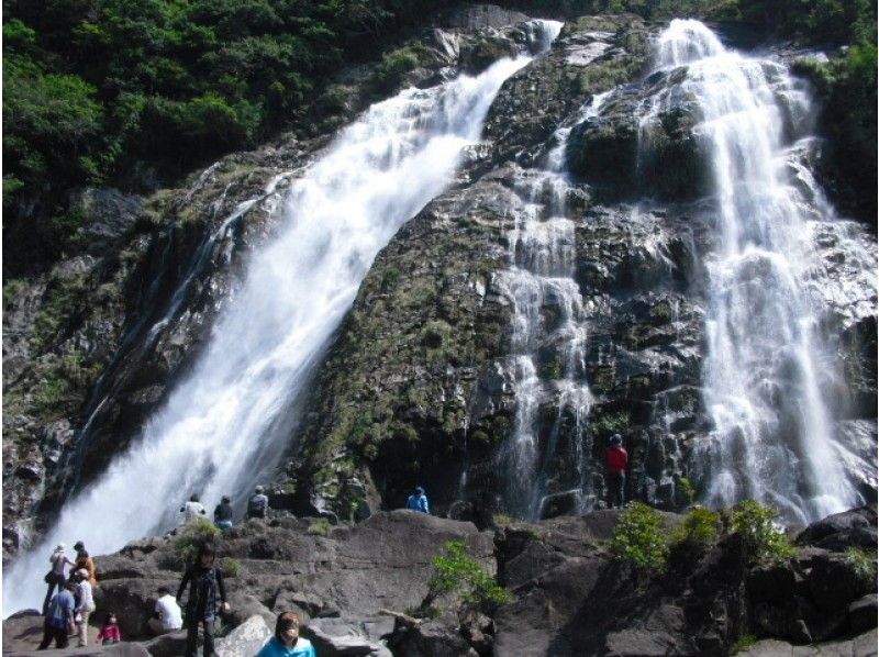 [Kagoshima /Kumage-gun] Great deals! Shiratani Unsuikyo Moss Forest Trekking Course + Island Sightseeing-Pick-up car available (7 hours)の紹介画像