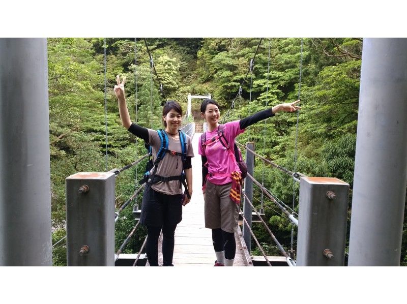 [Kagoshima /Kumage-gun] Great deals! Shiratani Unsuikyo Moss Forest Trekking Course + Island Sightseeing-Pick-up car available (7 hours)の紹介画像