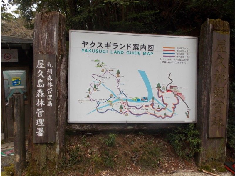 [คาโกชิมา / Kumage-gun] คุ้มค่าสมกับเป็นชุด! Yakusugi land-Kigensugi หลักสูตรการเดินป่า + เที่ยวชมเกาะพร้อมรถนำทางの紹介画像
