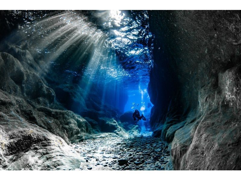 [오키나와&middot;나하] C 카드를 취득하자! 【NAUI 스쿠버 다이버 코스 (사전 학습 + 2 일)]の紹介画像