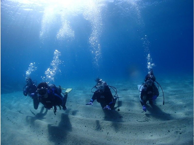 ★春季♪限定活动★ 体验潜水海龟路线！海龟邂逅率位居本路线之首★ 每天上午和下午举办两次！免费使用岛上最大的设施の紹介画像