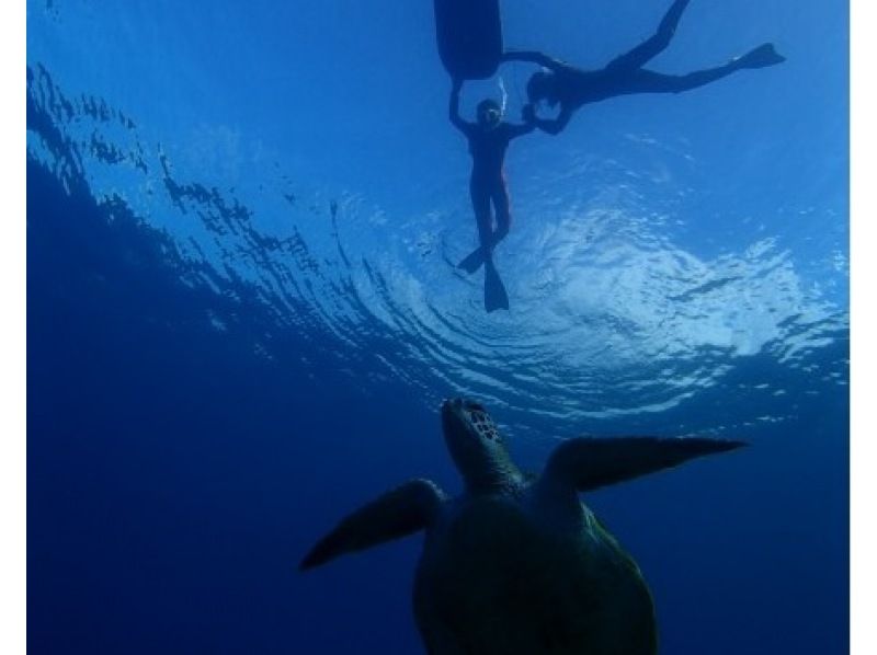 【鹿児島・屋久島】白谷雲水峡トレッキング（苔むす森コース）＆スノーケリング(1日または2日)セットプランでたっぷり楽しもう！！の紹介画像