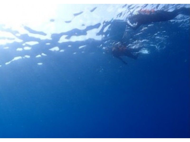 [คาโกชิมา / ยูกุชิมะ] มาโลภและสนุกกันเถอะ! เดินป่าชิราทานิ (ขึ้นหินกลอง) & ดำน้ำตื้น (1 วัน)の紹介画像