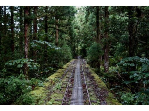 【鹿児島・屋久島】「縄文杉トレッキング&スノーケリングコース」(2日間)大満足なセットプランでお得感◎それぞれ専門ガイドがご案内! 【鹿児島・屋久島】「縄文杉トレッキング&スノーケリングコース」(2日間)大満足なセットプランでお得感◎それぞれ専門ガイドがご案内!