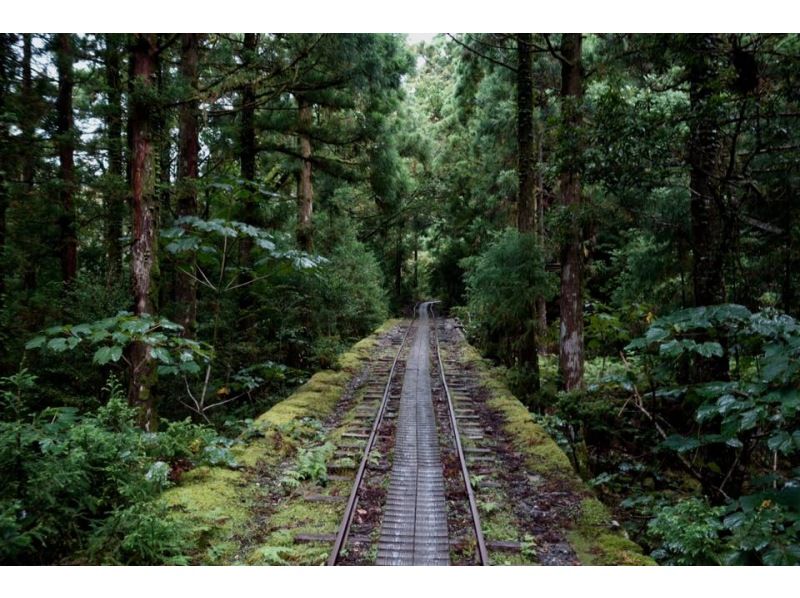 【鹿児島・屋久島】「縄文杉トレッキング＆スノーケリングコース」（２日間）大満足なセットプランでお得感◎それぞれ専門ガイドがご案内！の紹介画像