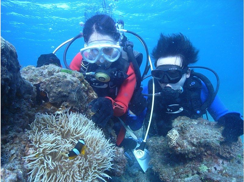 【鹿児島・屋久島】白谷雲水峡トレッキング(太鼓岩コース)＆体験ダイビング(ショート)体力・旅程に合わせて日程変更可能（1日または2日）の紹介画像