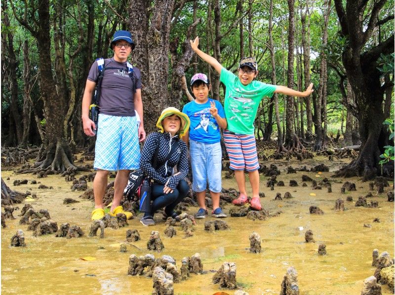 【セット】屋我地島　マングローブ散策とマングローブ染めの紹介画像