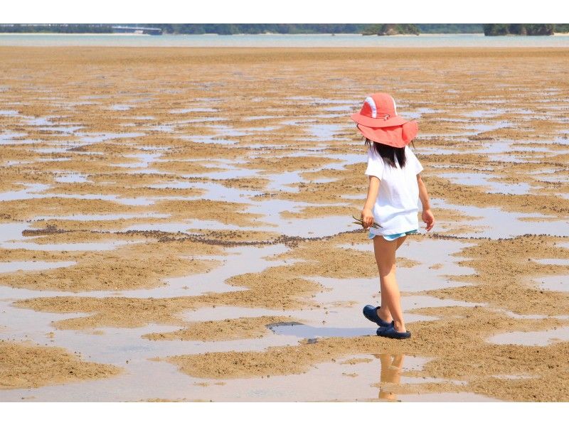 【セット】屋我地島　マングローブ散策とマングローブ染めの紹介画像